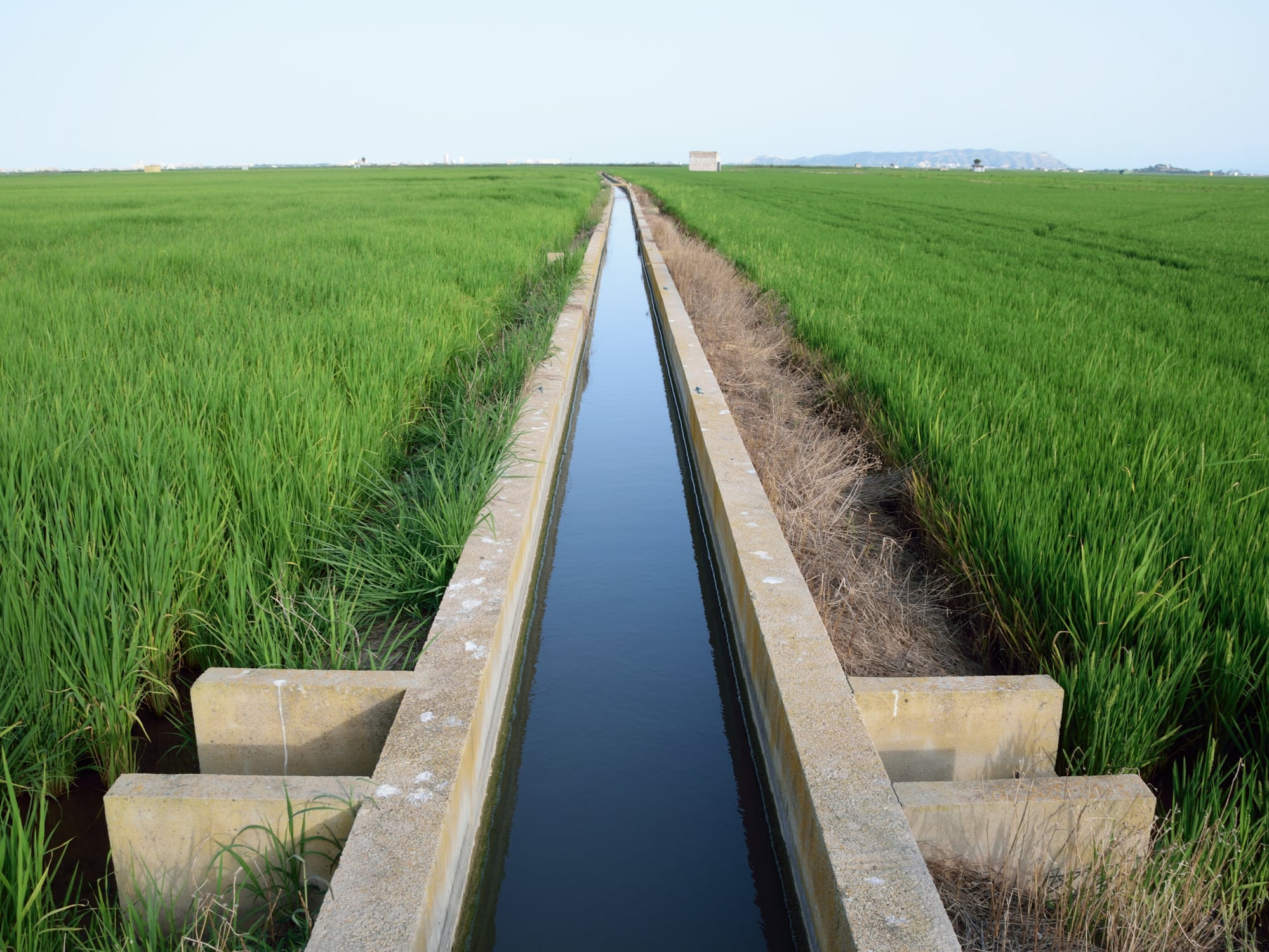 Acequia