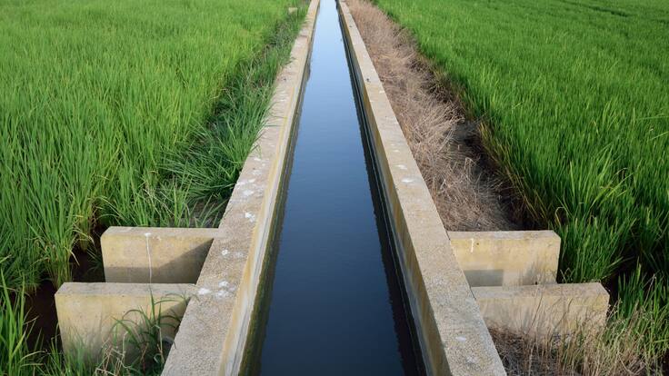 La llavor 22/10/2022