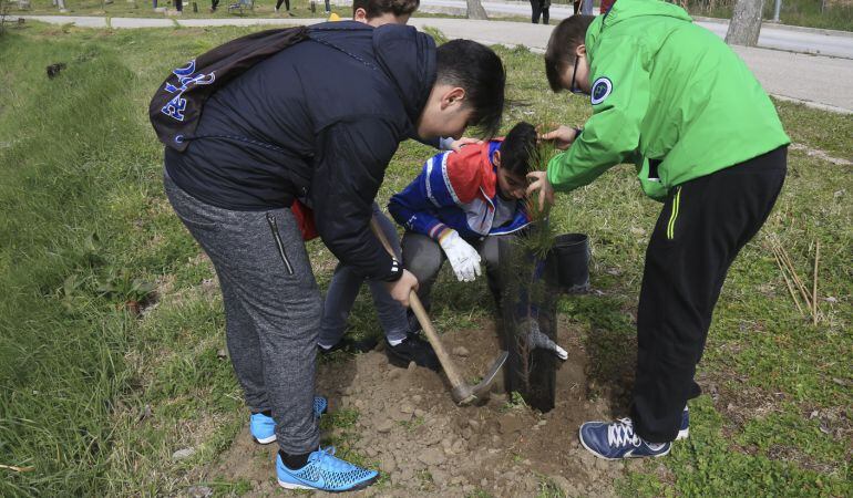 Alumnos de Secundaria han realizado las plantaciones en estas semanas