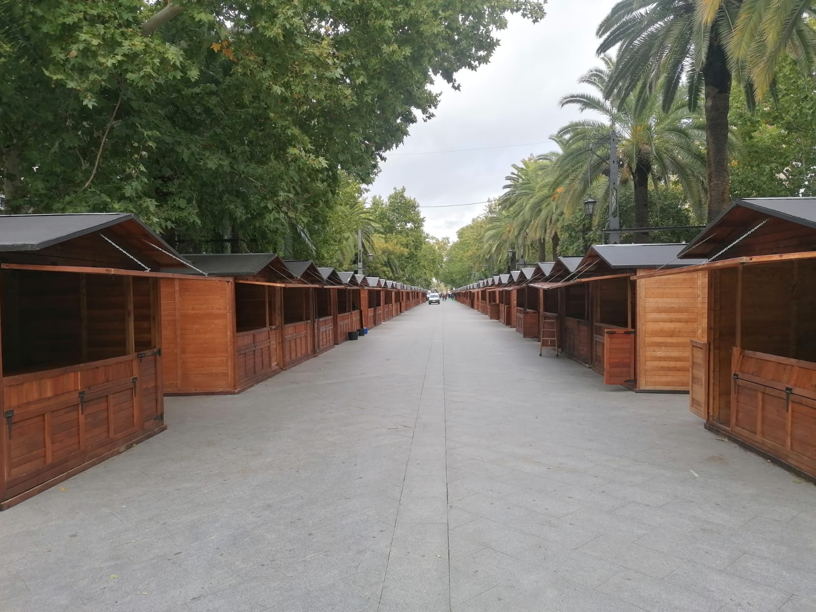 El Paseo de Linarejos será epicentro de la X Fiesta del Primer Aceite de Jaén durante el fin de semana