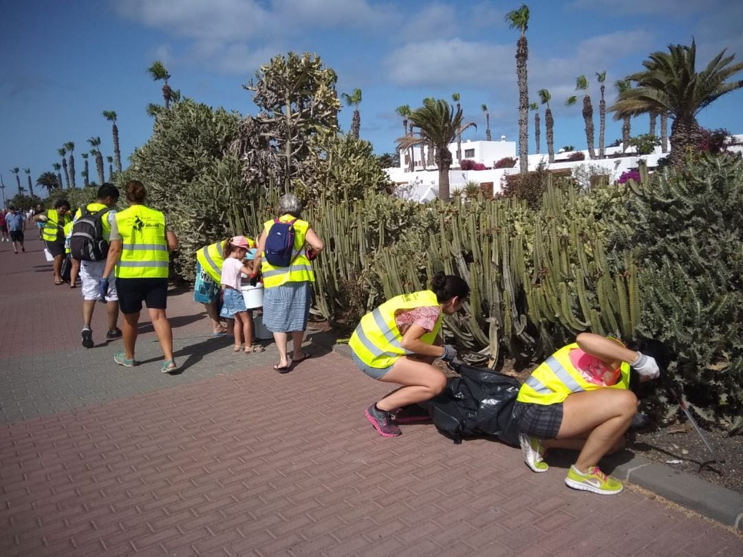 Voluntarios retirando residuos en tierra.