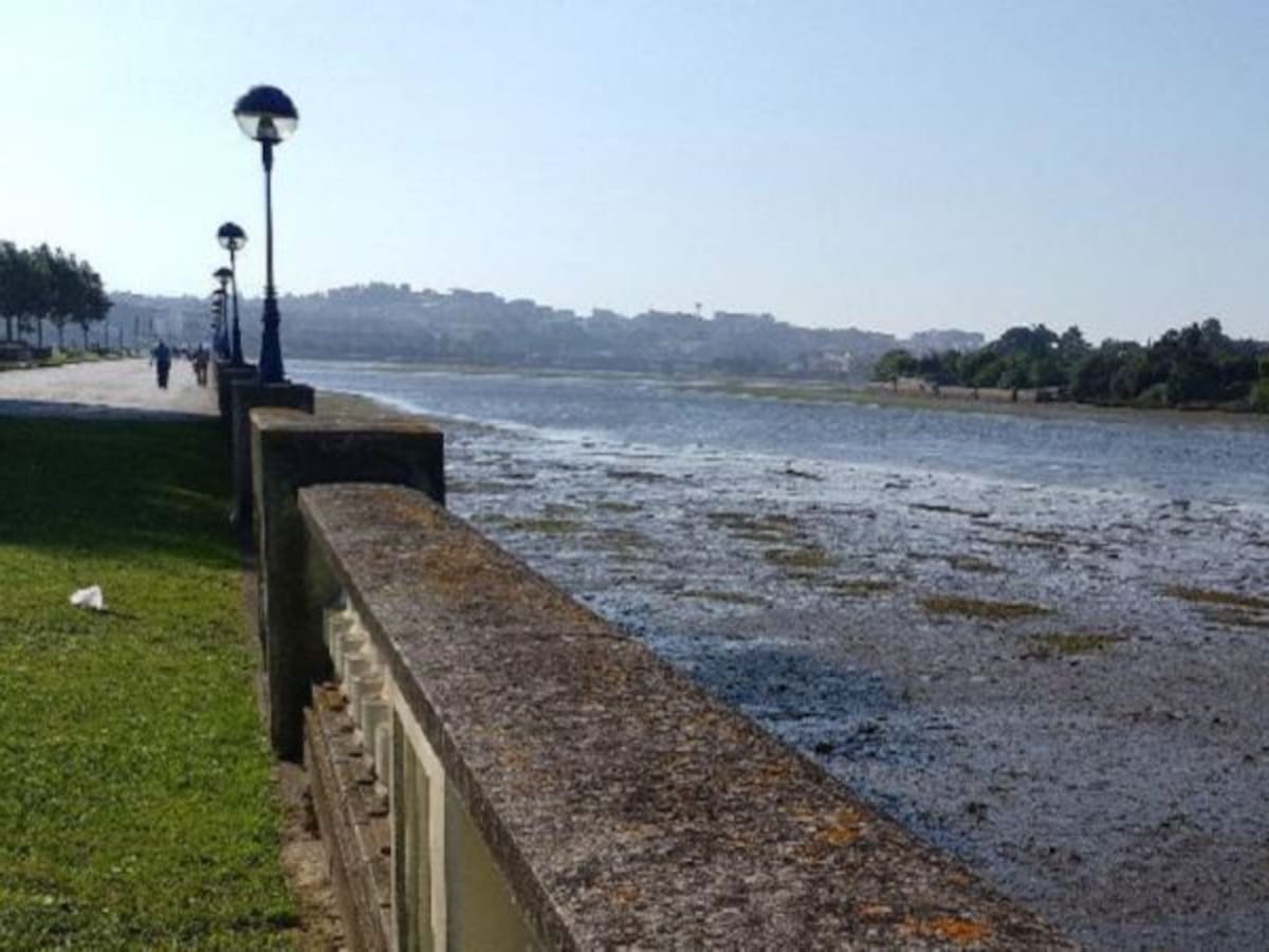 La Mesa da Ría exigirá el dragado al delegado del Gobierno