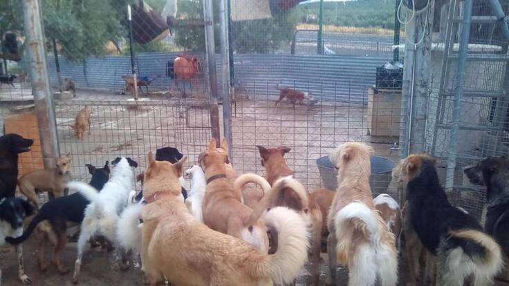 Arconatura_necesidades para el verano (31/05/2024)