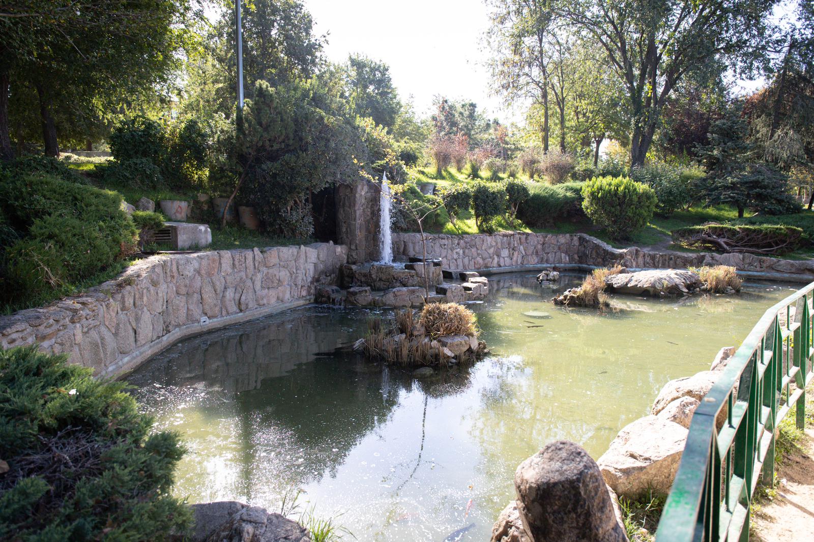 Estanque del Parque Gabriel Celaya de San Sebastián de los Reyes antes de la limpieza