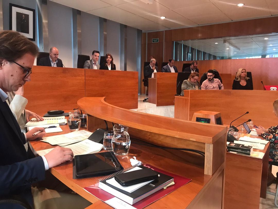 Imagen del pleno del Consell de Ibiza