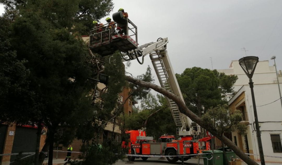 Los bomberos retiran un árbol caído en Godella.