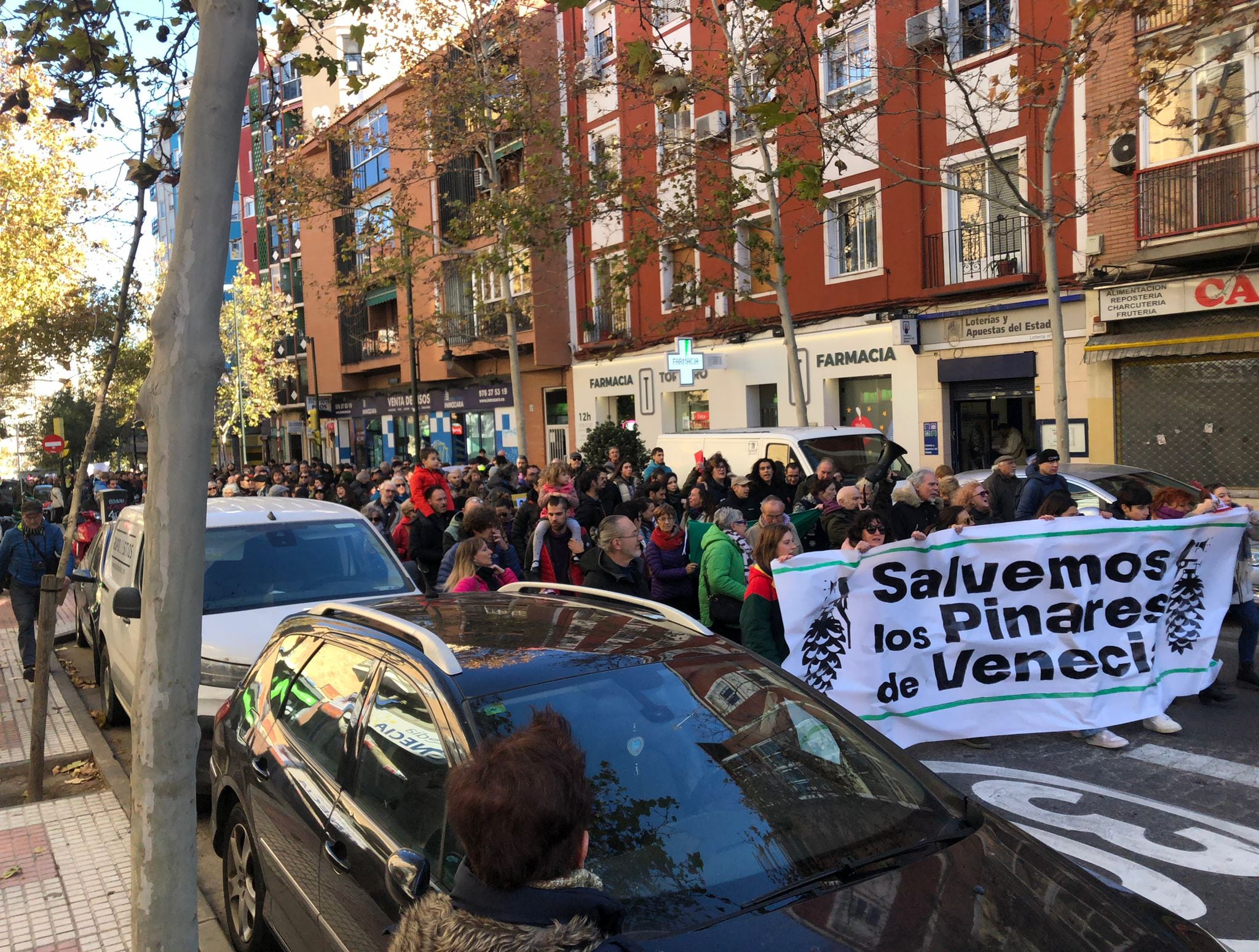 ¡Salvemos los Pinares de Venecia! Vecinos del barrio de Torrero salen  a la calle para mostrar su rechazo a la ampliación del Parque de Atracciones de Zaragoza