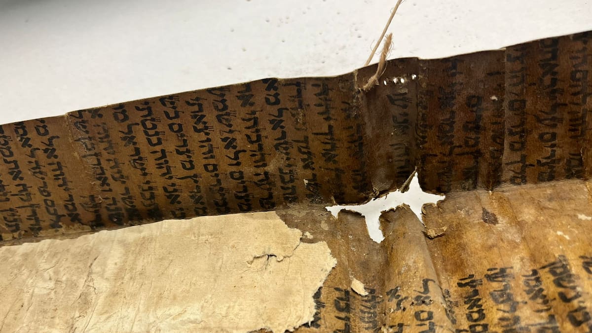 Encuentran en Alfaro un fragmento de la torá del siglo XIV