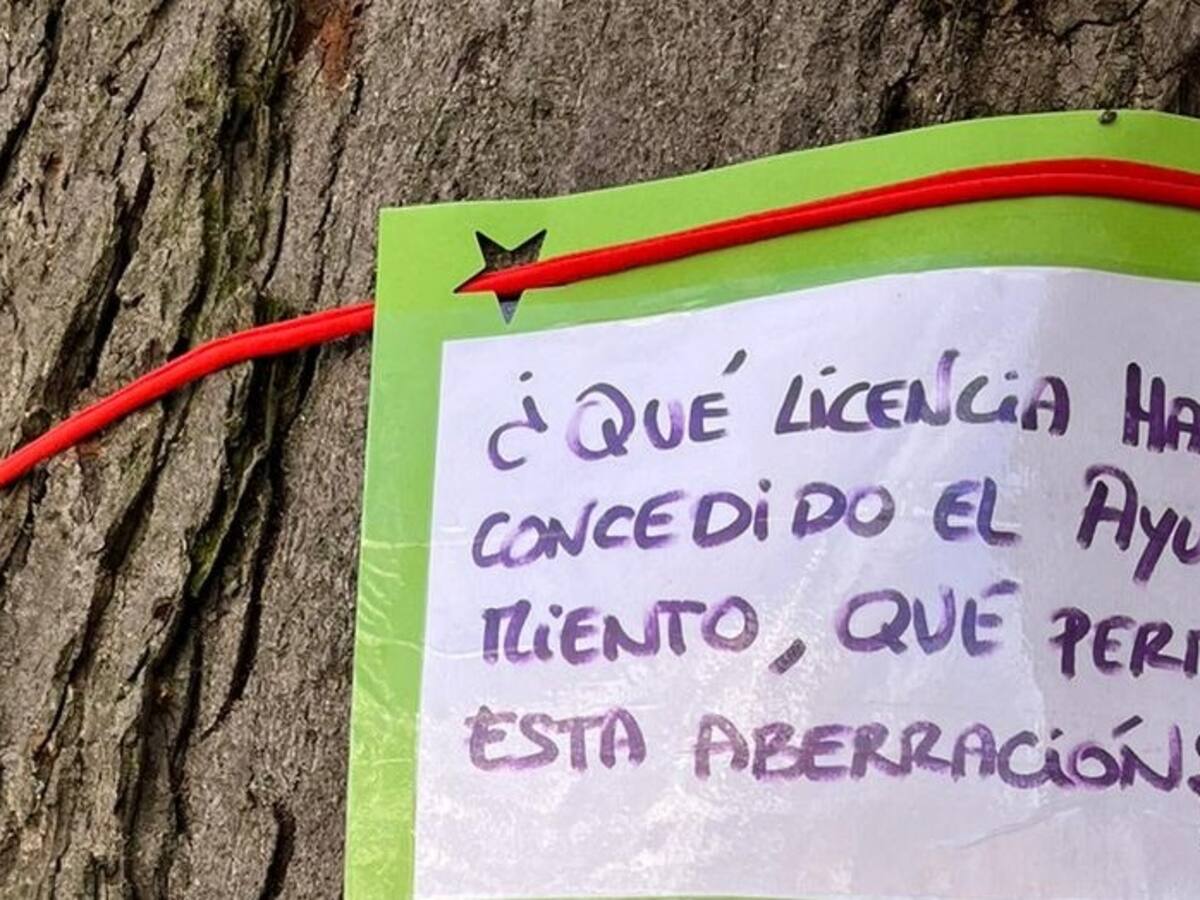 La Plataforma del Arbolado de Palencia pide paralizar las actuaciones en El Salón