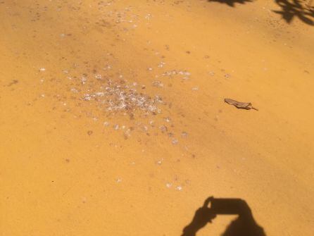 Deposiciones de pájaros sobre la pintura aplicada.