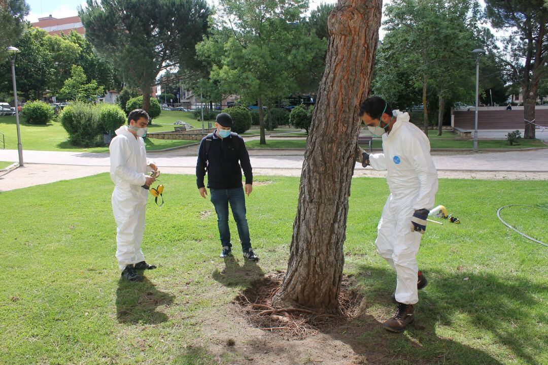 El concejal de Medio Ambiente junto a trabajadores de la concejalía revisando el estado de los árboles en este parque de la ciudad.