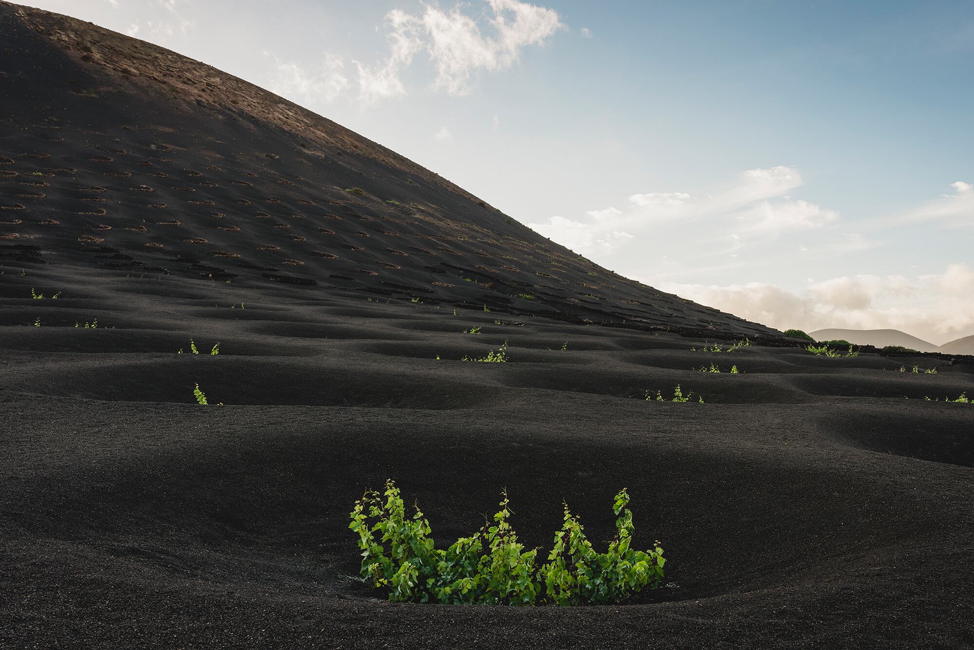 La Geria, en Lanzarote.