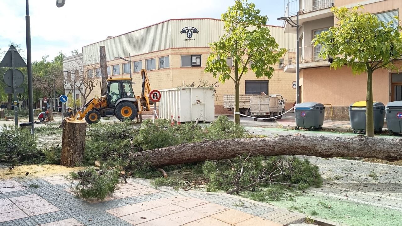 Las rachas de viento fueron muy fuertes en Novelda