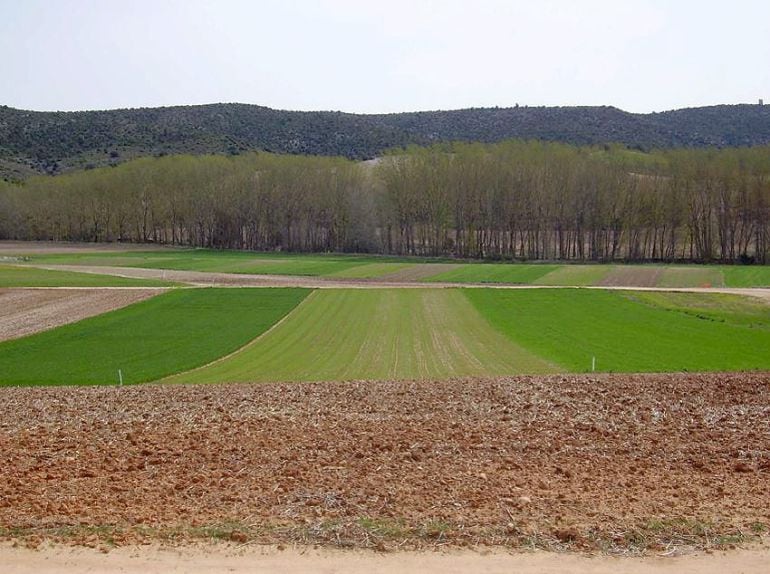 La finca de Albaladejito ocupa 420 hectáreas 