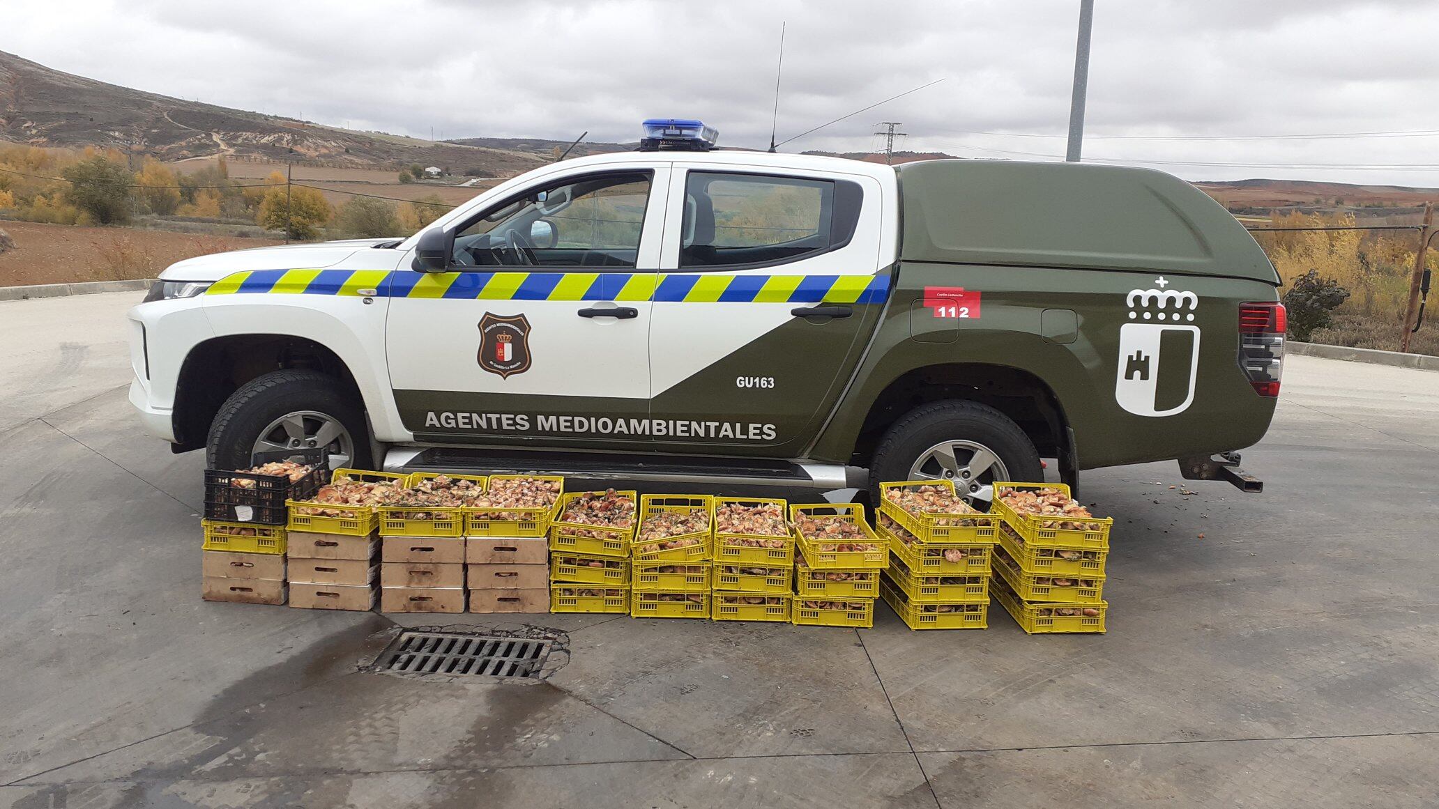 Níscalos incautados Sierra Norte/Foto Agentesmedioambientales CLM