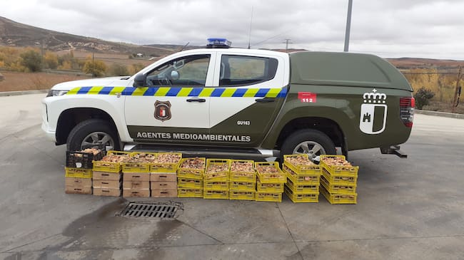 Níscalos incautados Sierra Norte/Foto Agentesmedioambientales CLM