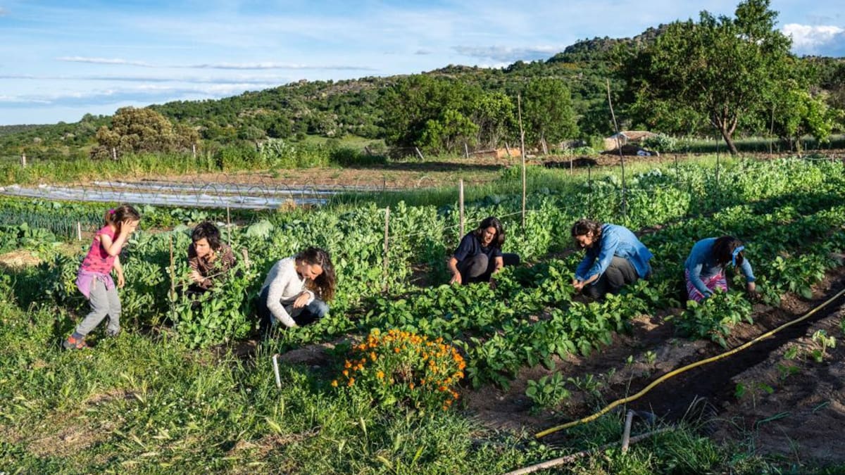 Uno para todos y todos para una huerta