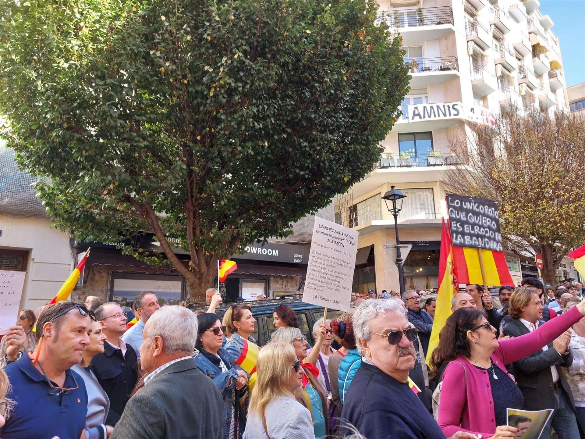 Algunos de los manifestantes de la protesta de este sábado en Palma.