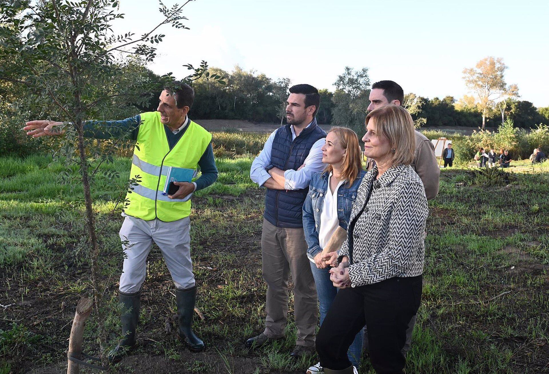 Los trabajos se están ejecutando en la ribera del río Guadalete