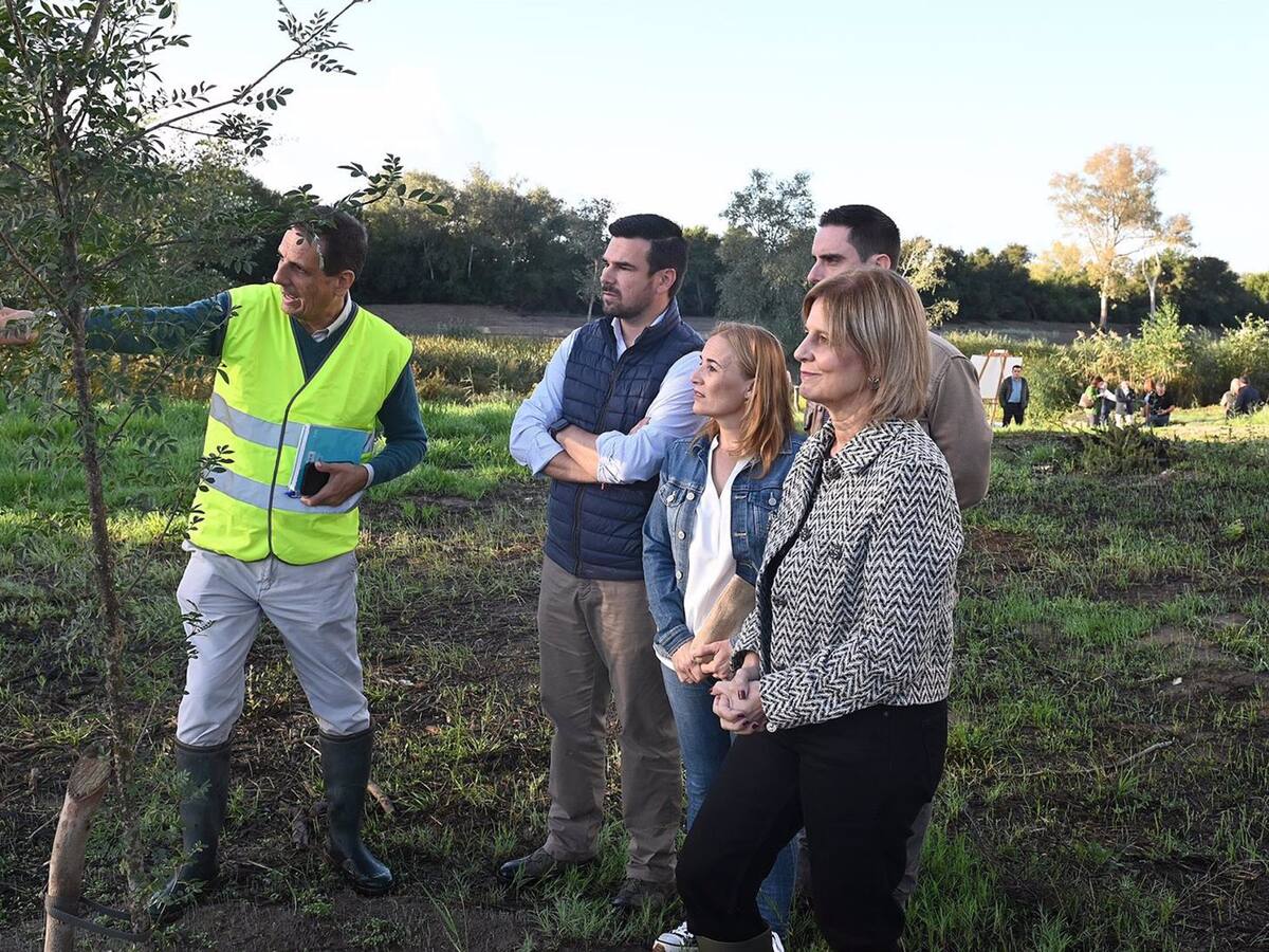 Avanzan los trabajos del río Guadalete que permitirán recuperar siete kilómetros entre La Corta y Lomopardo