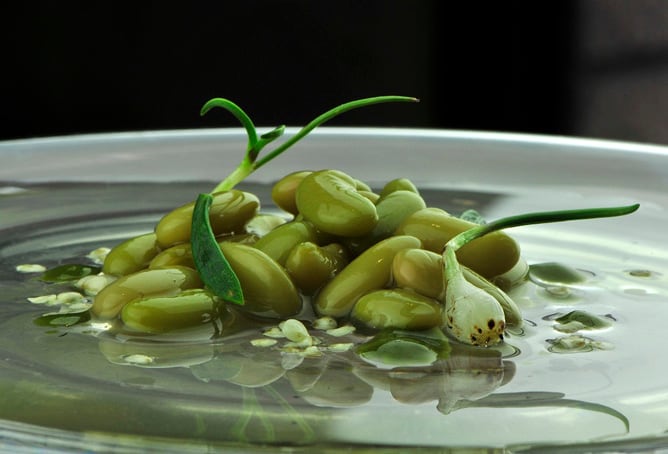 Las &quot;verdinas en verde con toques anisados&quot;, del cocinero gallego Iago Castrillón, ha sido elegido Mejor Plato Vegetal del Año 2013.