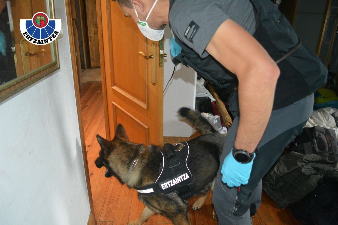 Registro en Hernialde