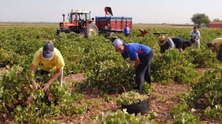 Entrevista Juan Ignacio Ruiz, responsable de Industria CCOO en Burgos sobre la vendimia en pandemia