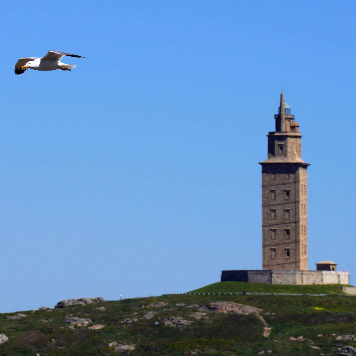 La Torre de Hércules celebra 13 años como Patrimonio de la Humanidad