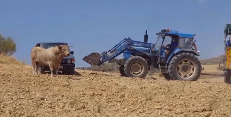 Encierro por el campo.