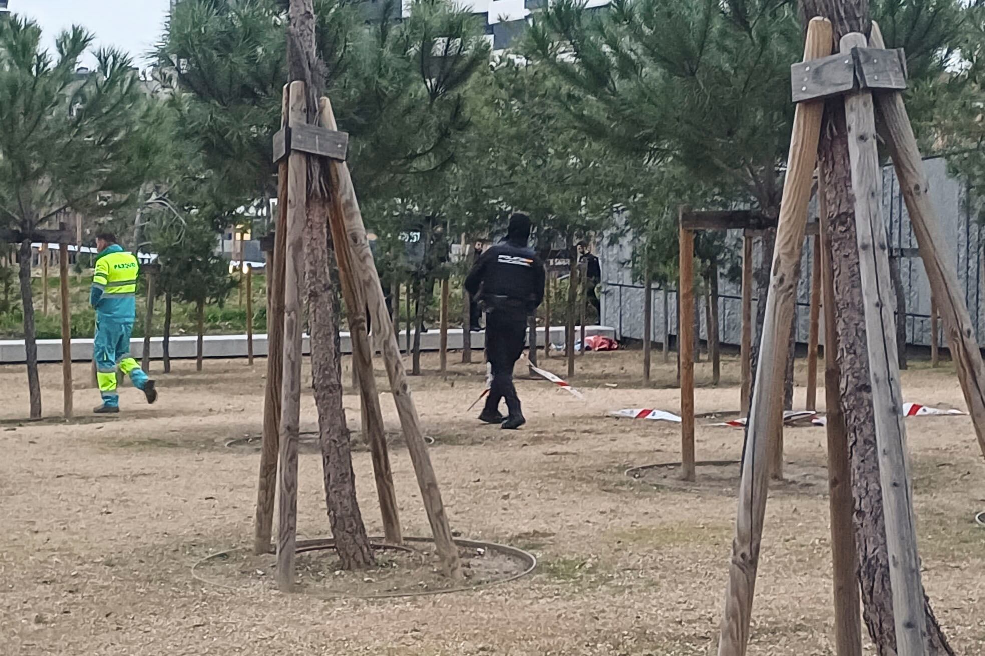 MADRID, 26/01/2026.- La Policía Nacional investiga la muerte de un hombre cuyo cadáver, con evidentes signos de violencia, ha sido hallado a primera hora de este lunes en el parque de Madrid Río de la capital. EFE/ Raúl Bellerín