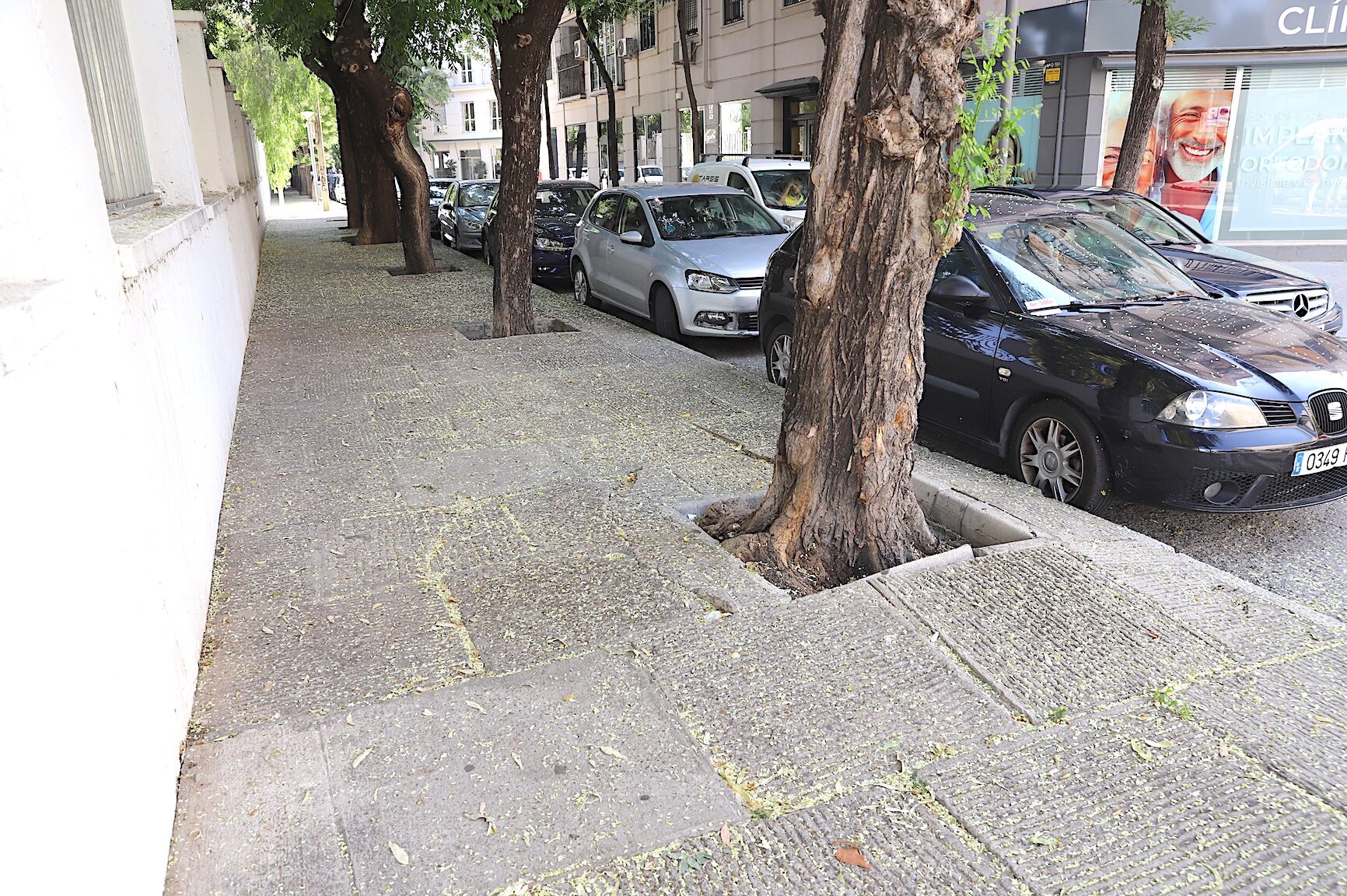 Acerado de la calle Santo Domingo