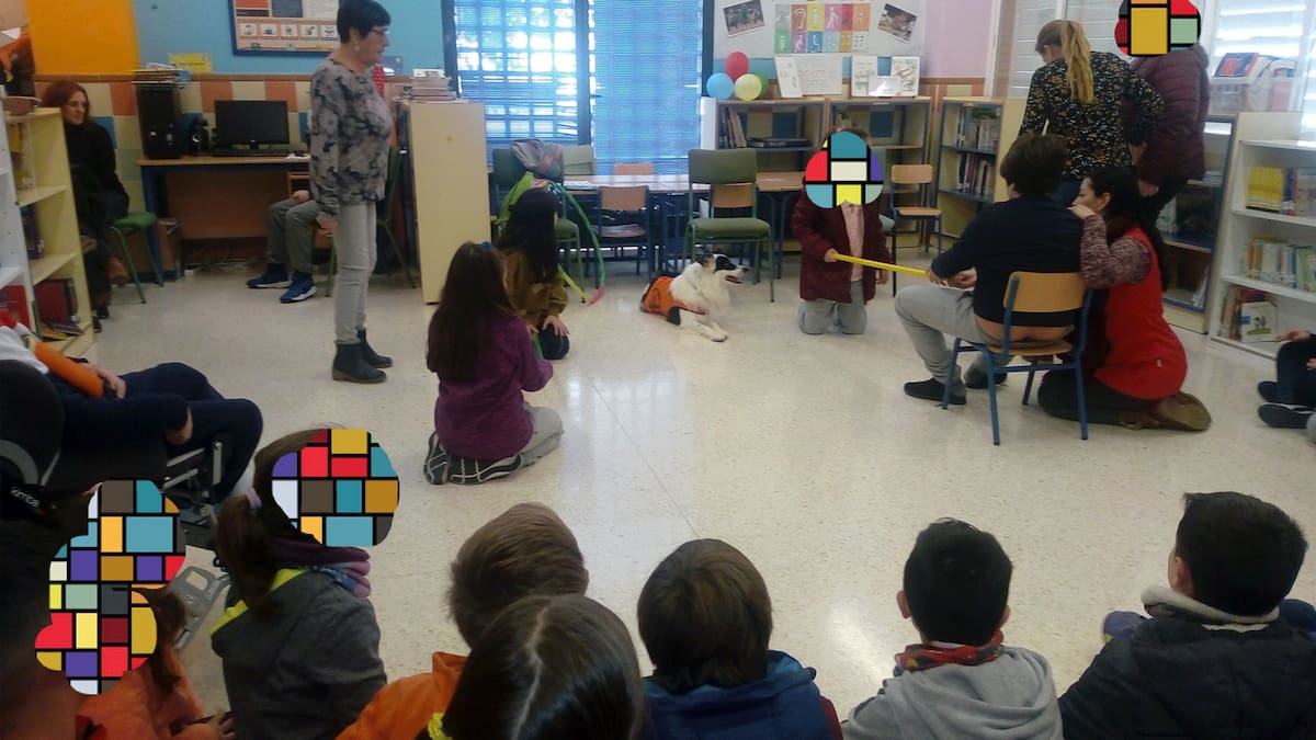 Entrevista Juan Fernández. Proyectos de AMIDIS para el 2026