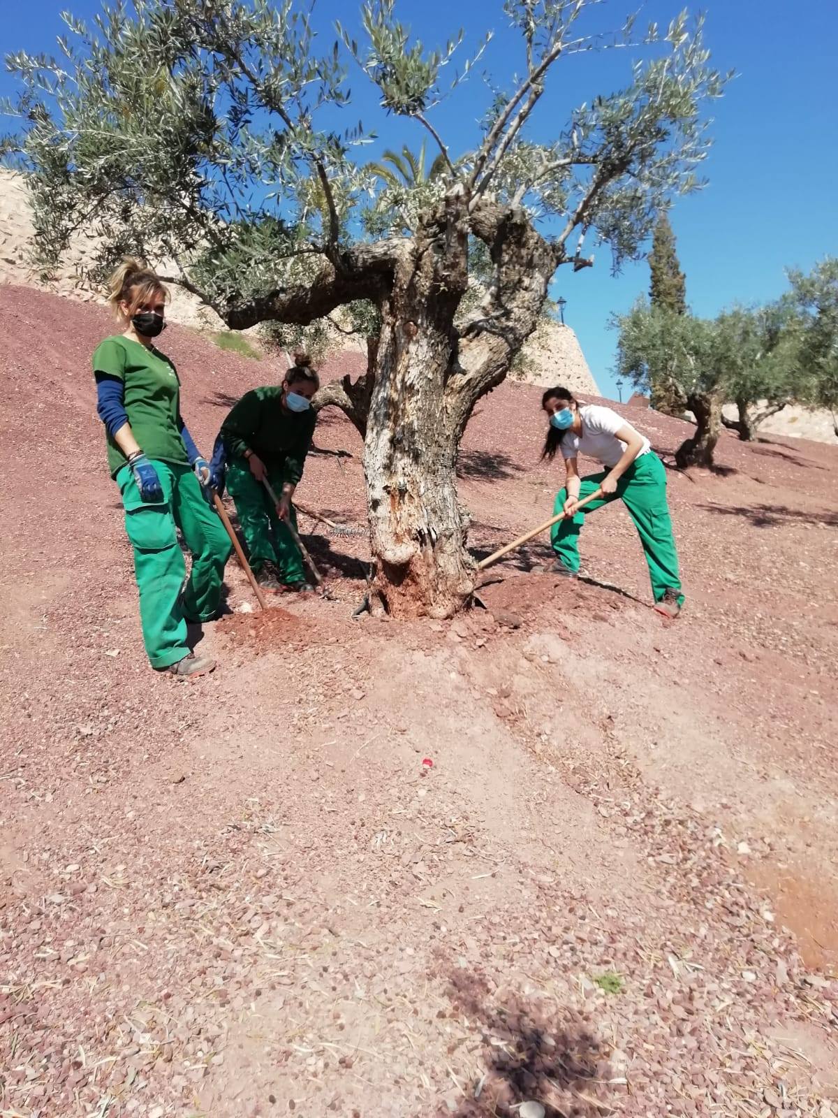 Curso de jardinería del CDL