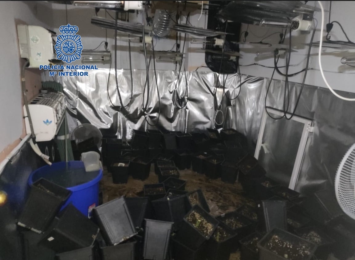 El laboratorio de marihuana desmantelado por los agentes en Málaga
