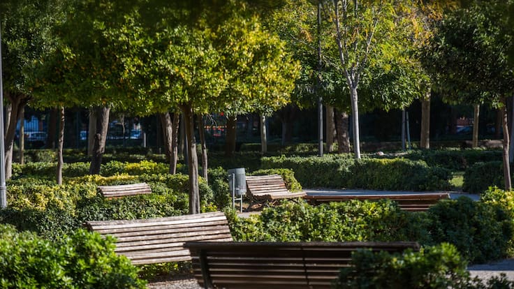 Jordi Payà (Bioparc) explica la diferencia de temperatura entre zonas renaturalizadas del Bioparc y el centro de València.