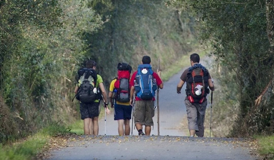 Peregrinos realizando el camino de Santiago.