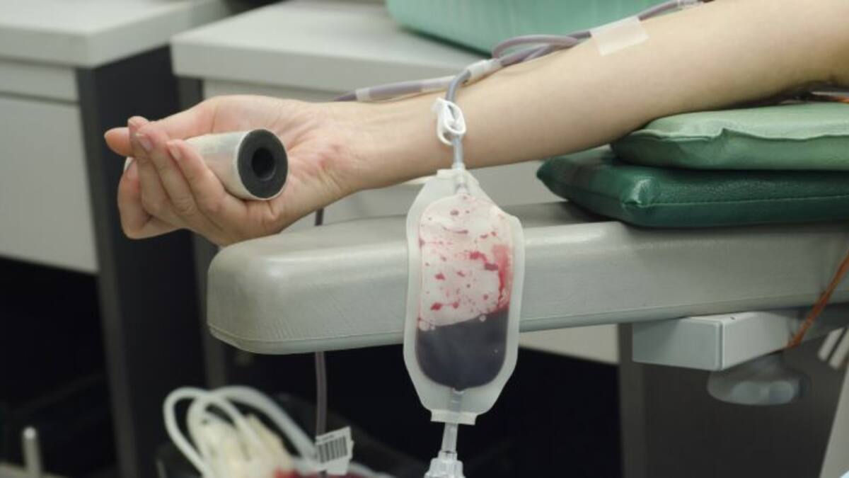 El Banco de Sangre hace un llamamiento a los donantes de las Pitiusas esta Navidad