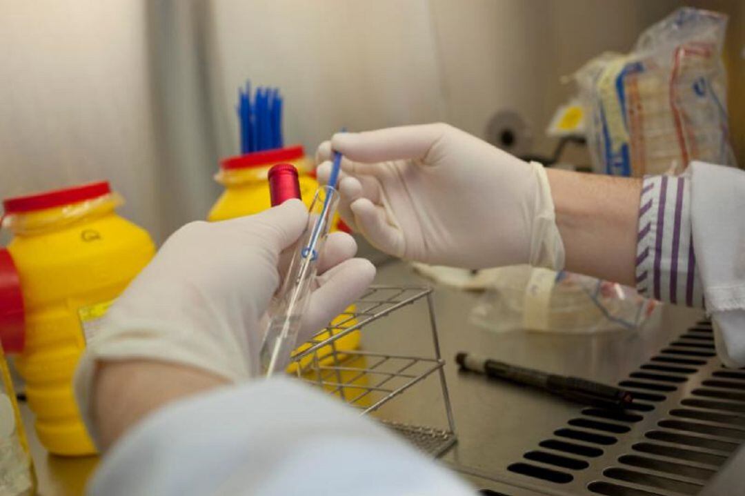 Imagen de archivo de una prueba en un laboratorio.