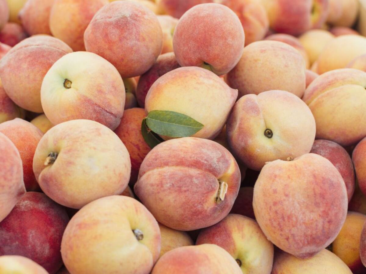 Apoexpa comprará 250.000 mascarillas y 15.000 test rápidos de coronavirus para los trabajadores del campo