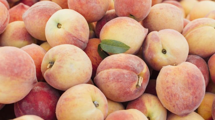 Apoexpa adquiere material de protección para los trabajadores de la campaña de fruta de hueso