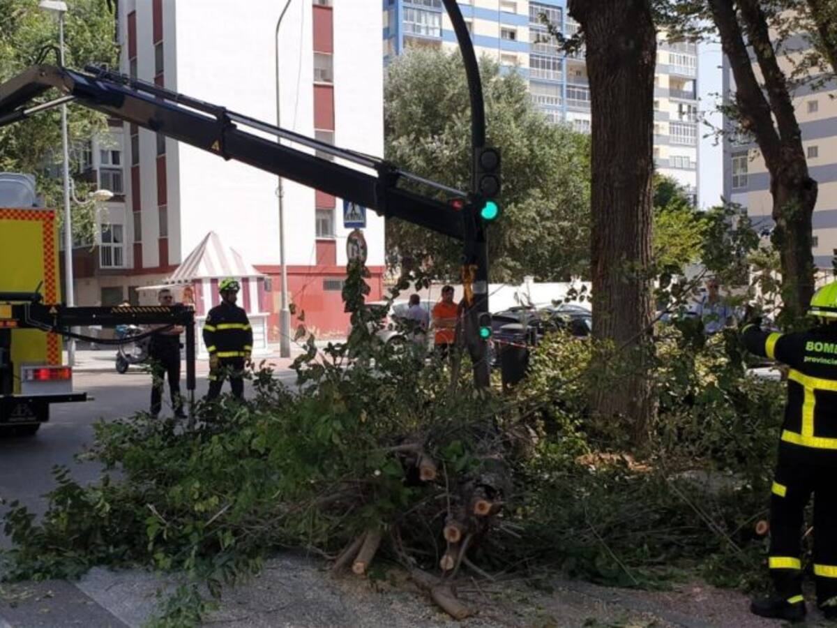 Dos mujeres heridas por la caída de un árbol en Cádiz