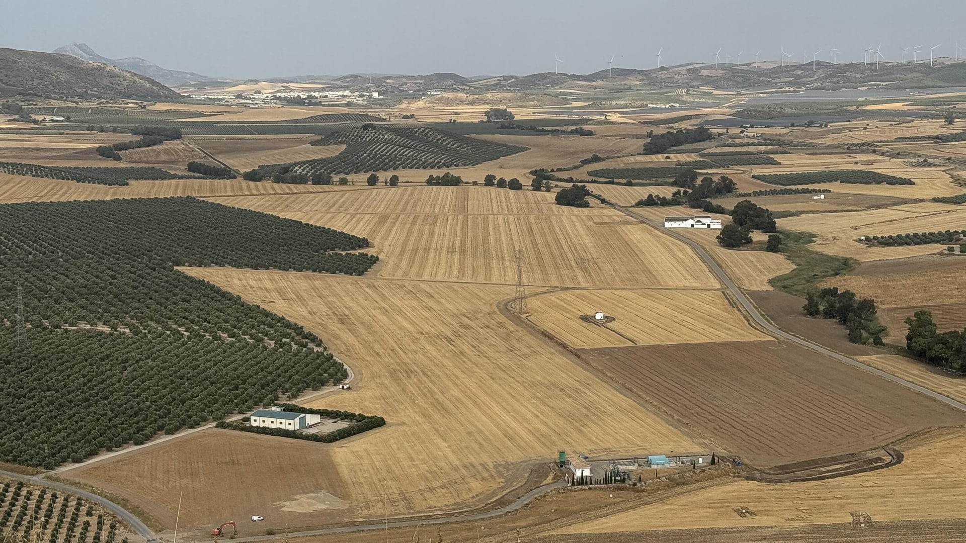 Terrenos agrícolas situados entre Teba y Almargen (Málaga)