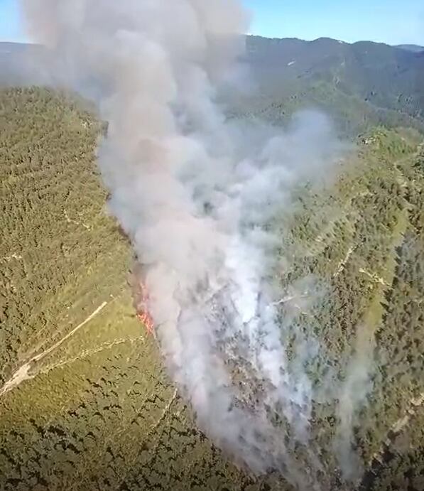 Incendio en Yebra de Basa
