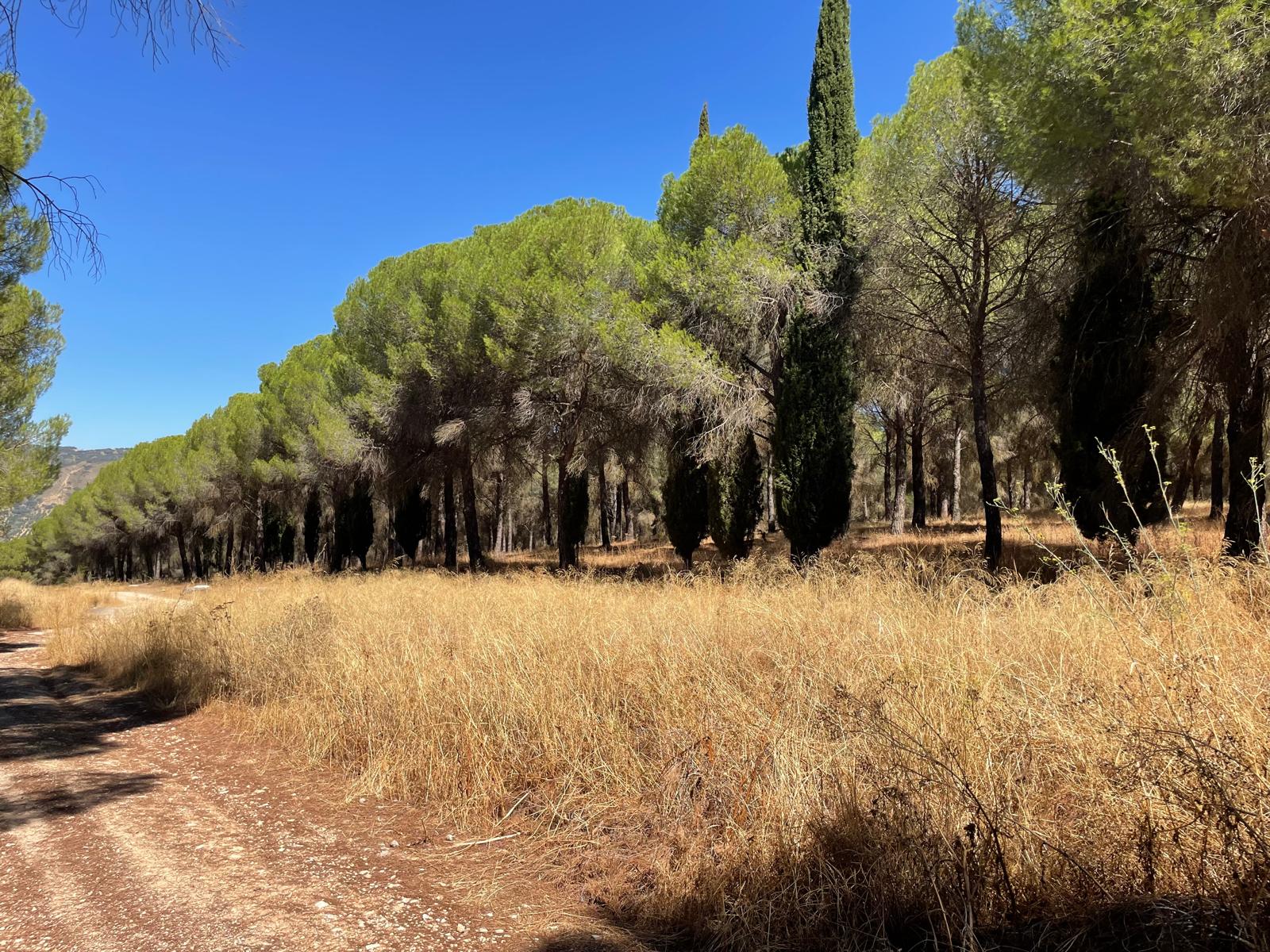 Parque periurbano de La Dehesa