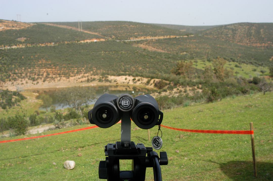 Observación de aves en la FIO 