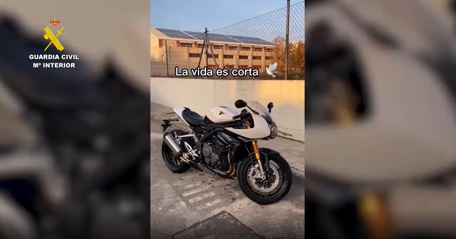 Imagen del vídeo publicado en Tik Tok que ha acabado con la detención de dos personas por conducción temeraria