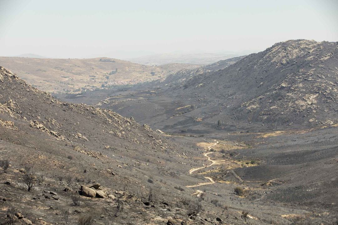 Zona calcinada por el incendio