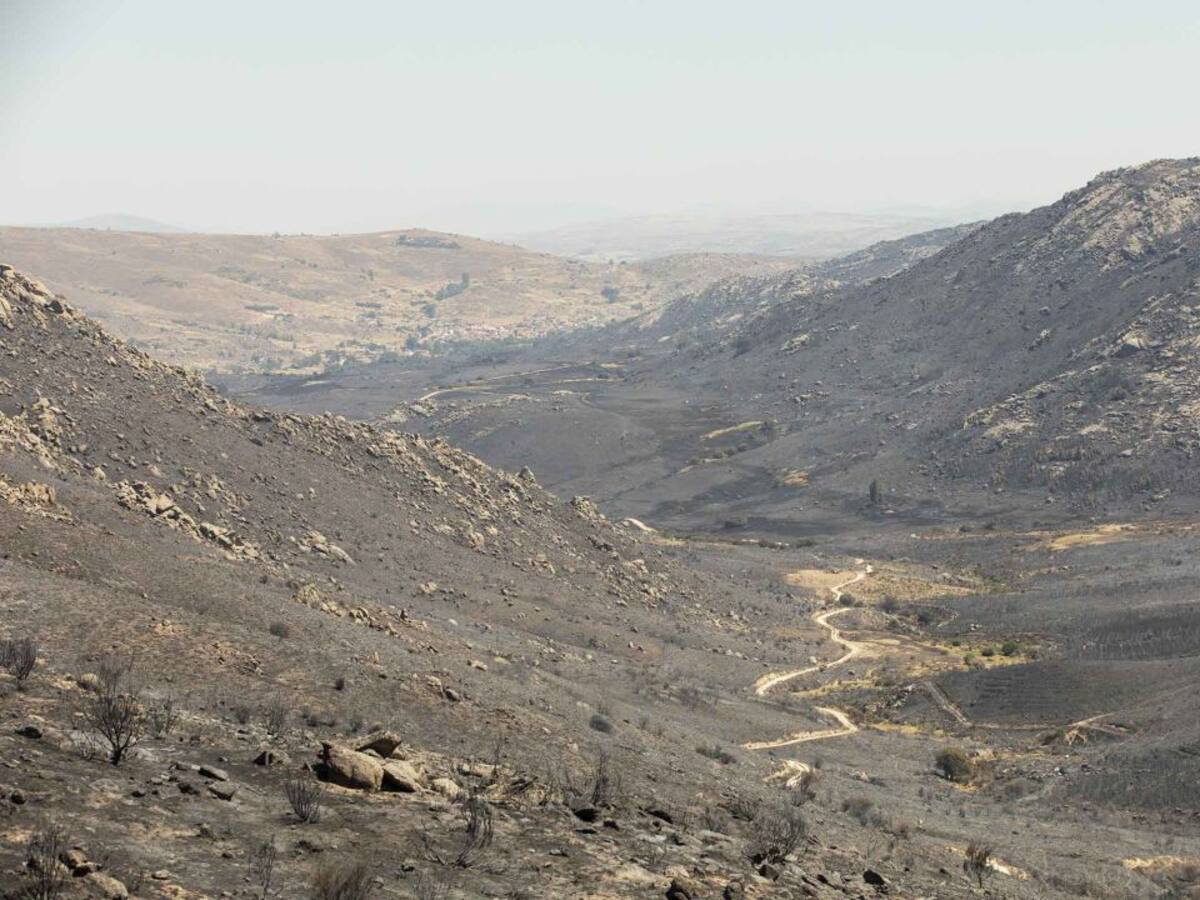 El incendio está cerca de la perimetración tras una jornada "muy provechosa"