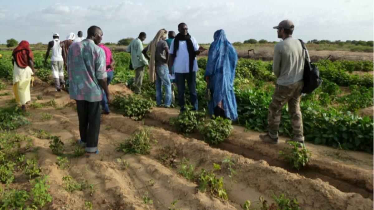 Entrevista La Ventana CV 24/11/2022 - Edurne Caballero
