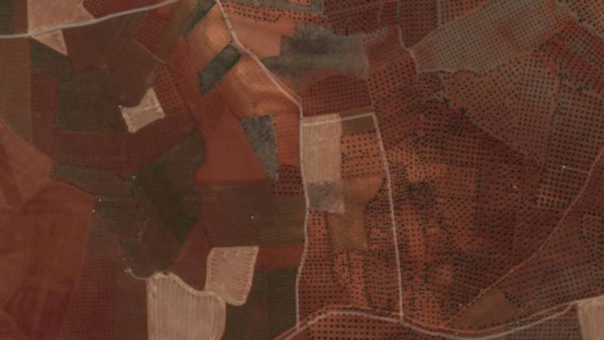 Tierras raras en un lugar de La Mancha